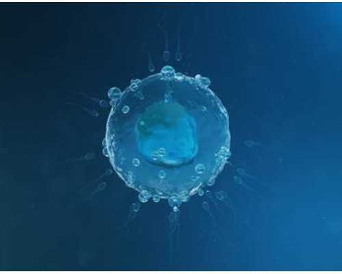 古玩陈小刀小说,嘴内溃疡怎么办