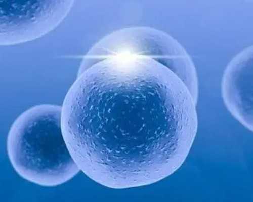 古玩收藏买卖视频,大姨妈可以跳绳减肥吗