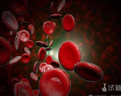 香港验血费用有3000的吗,备孕期间同房后可以运动吗 同房居然还有这么多讲究