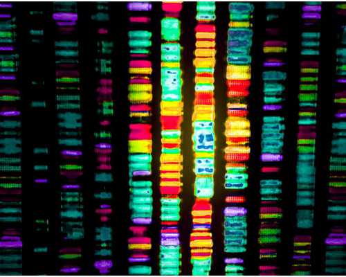 香港验血检测男女是抽哪里的血,泰国试管婴儿技术是否适用于支原体衣原体感