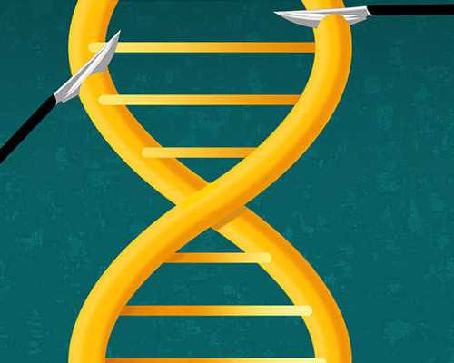 香港验血3300块钱,香港pg验血测男女准不准_验血查性别没有Y是女孩吗!