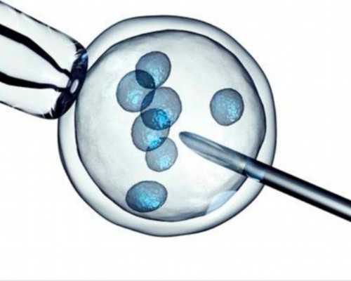 香港验血7周B超需要达到什么条件6, 佳备孕时节，这些孕前检查可别漏掉