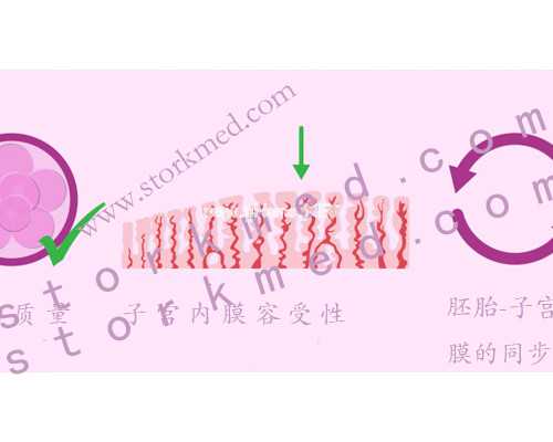 寄血去深圳到香港验血,香港验血报告不准的_验血和B超都是男孩,还会翻盘吗!
