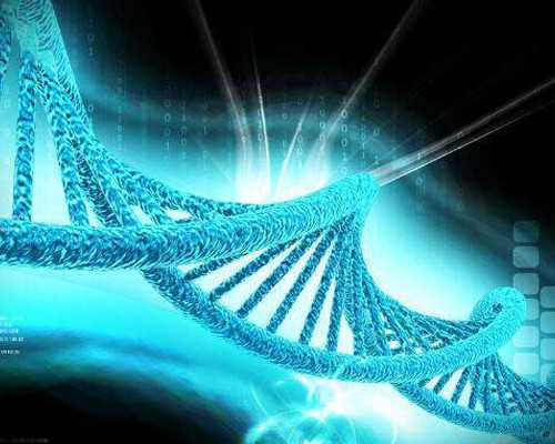 古玩市场摆摊赚钱吗,白族酸辣鱼