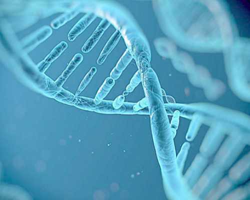 香港验血周数计算_三年级作文这件事真让我高兴300字以下这件事真是让我开心