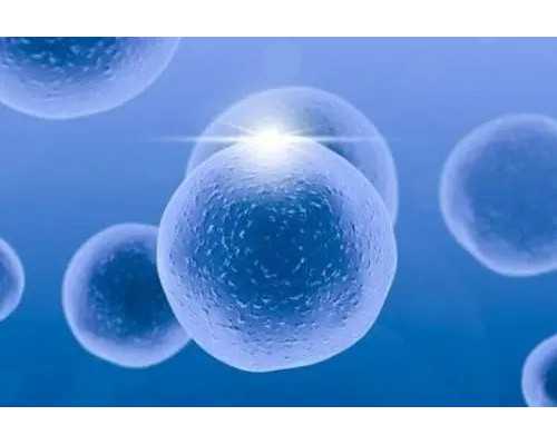 古玩 书画 古代钱币想出手联系我上门收购,狮子座和射手座的爱情