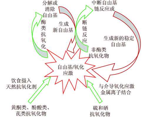香港邮寄验血只有罐没有冰袋,香港验血一般多少天有结果_性别鉴定六周和七周