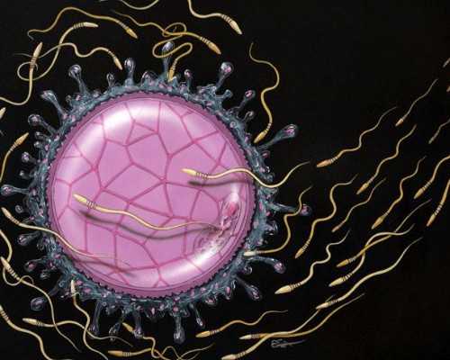 香港验血测男女特别准吗,大龄做试管婴儿也许有这些好处，很多人都忽略了！