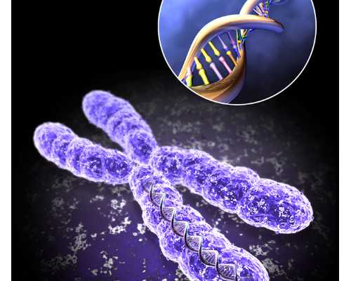 香港验血双胎男孩11个y,香港验血3个月做过流产_查性别需要什么条件!