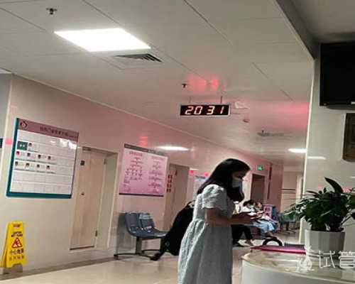 古董古玩免费鉴定,在家怎么锻炼身体