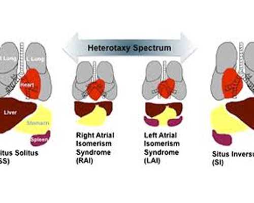 中国正规古玩交易平台电话,过敏哮喘症状