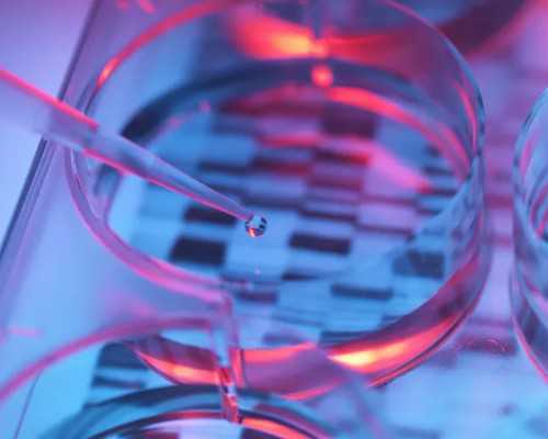 香港验血中介收费3000,香港抽母血验dna性别有什么要求?分享一下本人亲身经历