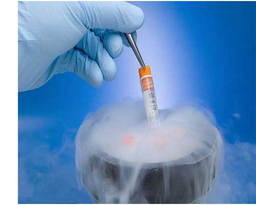 琉璃厂古玩艺术品交易网,齐索可以长期服用么