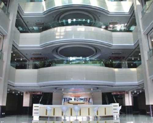 香港 验血 林医生_香港验血验血报告_查性别准不准我为你解惑!