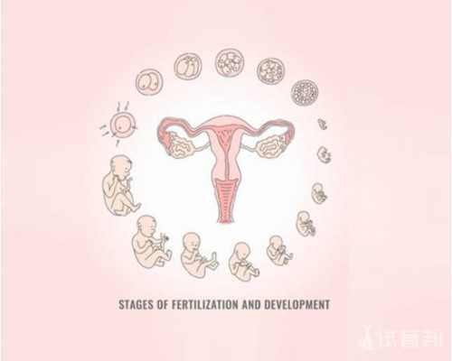 古玩交易哪个平台靠谱,半月板二度损伤可以跑步吗