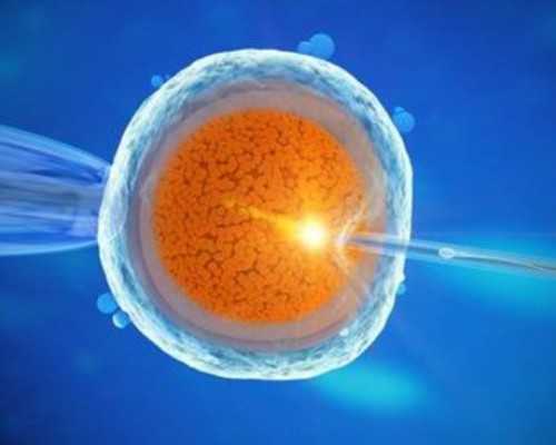 香港验血放假时间,家里有皇位要继承婆婆逼生男孩，请问备孕第三胎男宝宝的