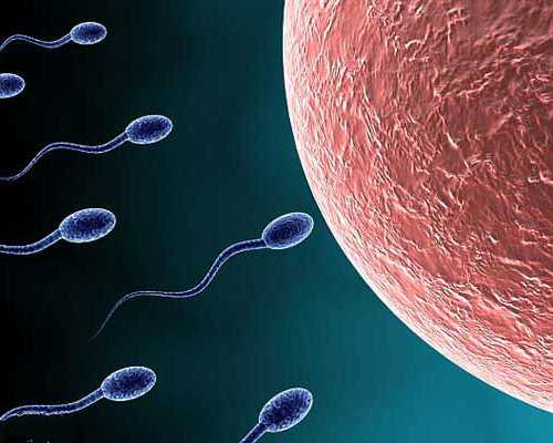 香港验血是6周还是7周,高龄、焦虑、卵巢早衰，看似简单的备孕路，我走了六年