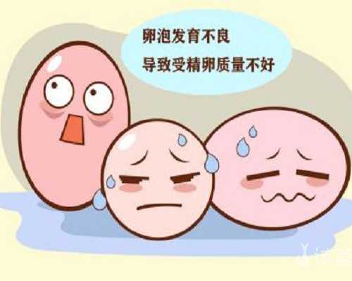 流产多久后可以到香港验血,备孕期可以抽烟喝酒吗