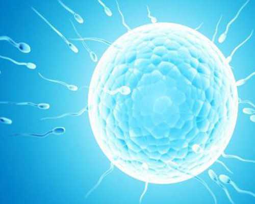 香港验血四大权威机构 联系方式,【年龄的特殊值】35岁前后赴美试管的区别和