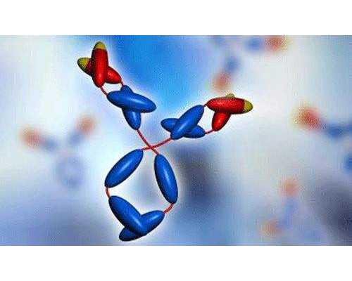 值得看的古玩电视剧排行榜,治疗非小细胞肺癌，埃克替尼可作首选