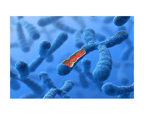 感冒香港验血准吗,备孕记住6点可以怀上双胞胎？原来一次生俩也并不难