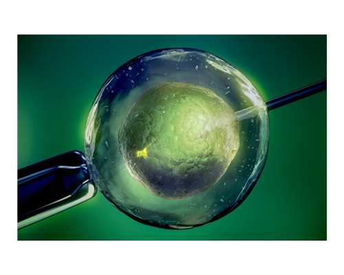 上门鉴定古董古玩的,怀孕一个月肚子就大了正常吗