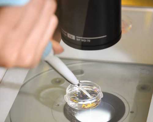 扫一扫鉴定古玩软件_不良的三餐饮食习惯，会提前衰老