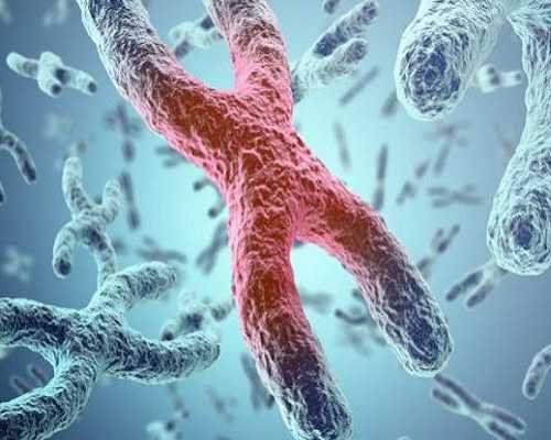 香港验血深圳中介可信吗,怀孕50天验血男女一定要去香港吗_胎儿性别真的会翻