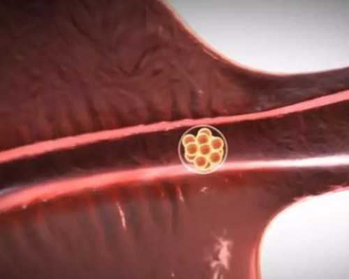 泉州中介香港验血,【人工月经做供卵试管成功率】153cm小个头顺产日记 （下）