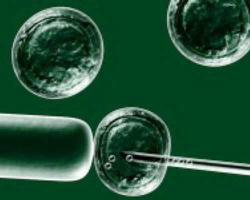 香港孕妇验血能验DNA吗,泰国试管婴儿中介选择时要注意什么