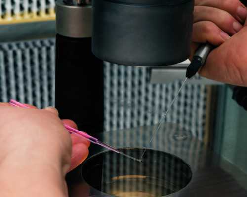 怀孕香港验血报告单会出错吗,月经期间可以吃艾草粽子吗 艾叶粽会影响月经吗