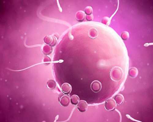 深圳香港验血中介,春季备孕：与水果之间不得不说的秘密