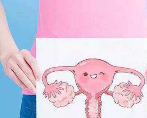 收藏张小哥的古玩视频,上升什么星座颜值高