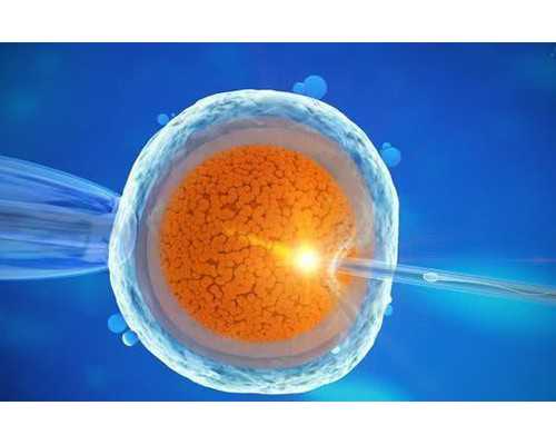 验血到香港验血男女多少钱,经期可以擦丰胸产品吗