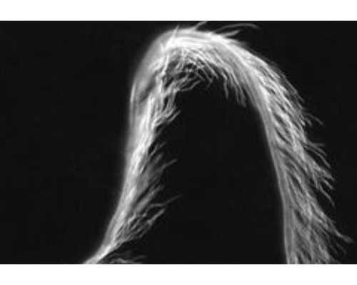 云南古玩鉴定交易中心,代糖有热量吗