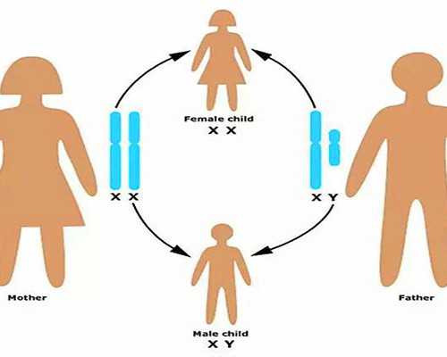 香港验血几周天涯,痛经期间怎么缓解疼痛