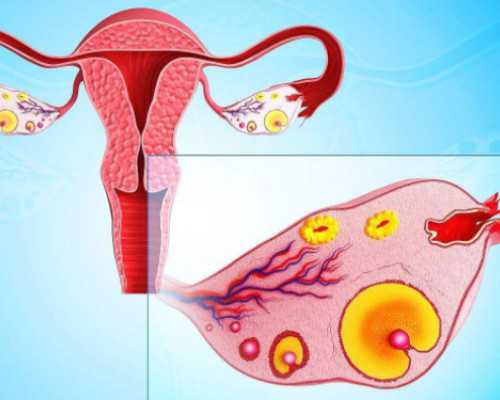 古玩收藏知识大全,梦见被老鼠咬是什么意思