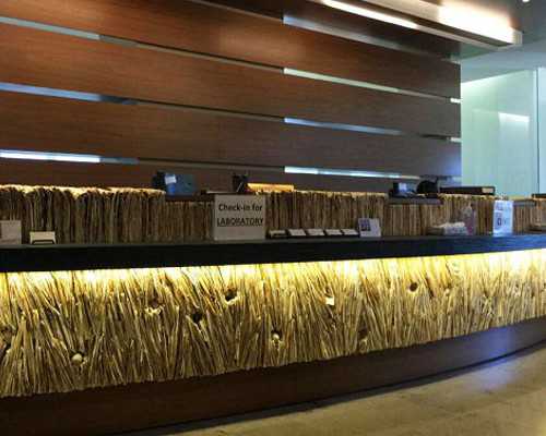 香港化验血一次多少钱_香港验血机构哪家好准不准,测性别到底哪家是真的