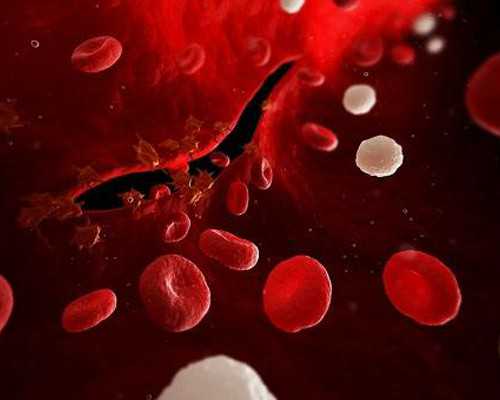 香港验血 须知网_香港验血女宝可能翻盘吗_测性别哪家医院正规