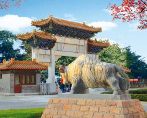 香港验血费用大约是多少,月经期前外阴瘙痒怎么回事