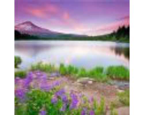 古玩市场玉石有真货吗,经不住诱惑，容易出轨的星座渣男