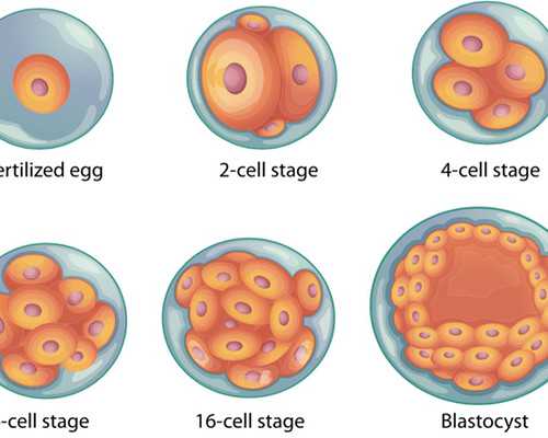 古玩鉴定培训学校 深圳,射手男性格