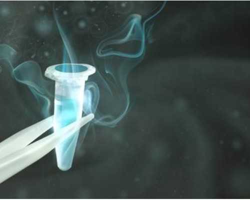 香港验血y呈阴性是女孩吗,做试管婴儿，如何提高一次就能生双胞胎的概率呢？