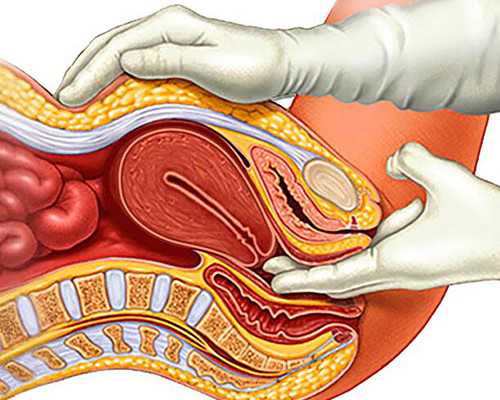 到香港验血多少钱啊,男性备孕想要生男孩，要看这三点做到没