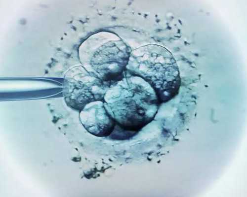 香港验血一定要七周吗,第三代试管婴儿哪家医院好？什么样的试管婴儿医院可