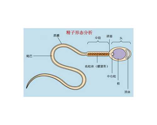 香港有哪些正规验血医院,张家口正规医院助孕有哪些硬性要求？