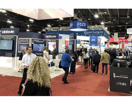 香港验血是不是很准,吃了它！试管宝宝变聪明了！真的假的？