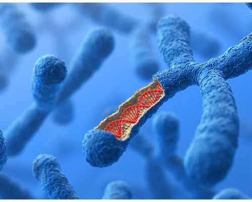 邮寄香港验血真假,经期可以做妇科炎症检查吗