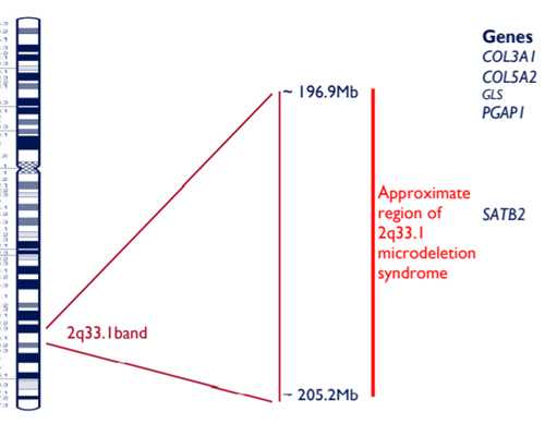 怀孕11周香港验血,高龄女性做试管婴儿助孕的成功率有多高？