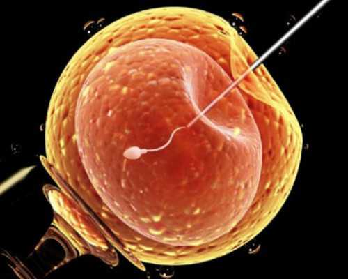 个人古玩收藏证如何办理,为什么会长胖